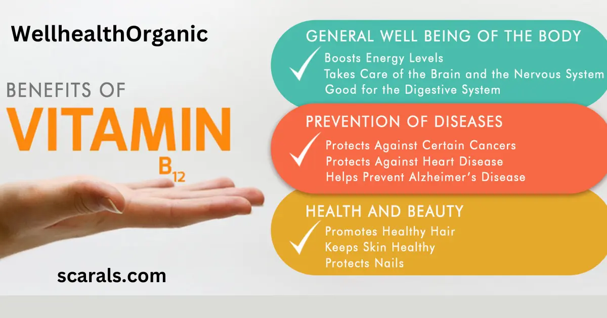Advantages of Wellhealthorganic vitamin b12