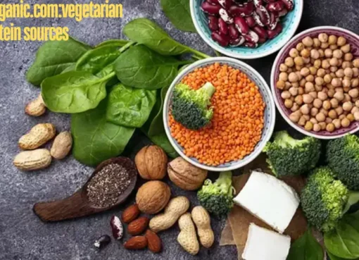 wellhealthorganic.com:vegetarian protein sources