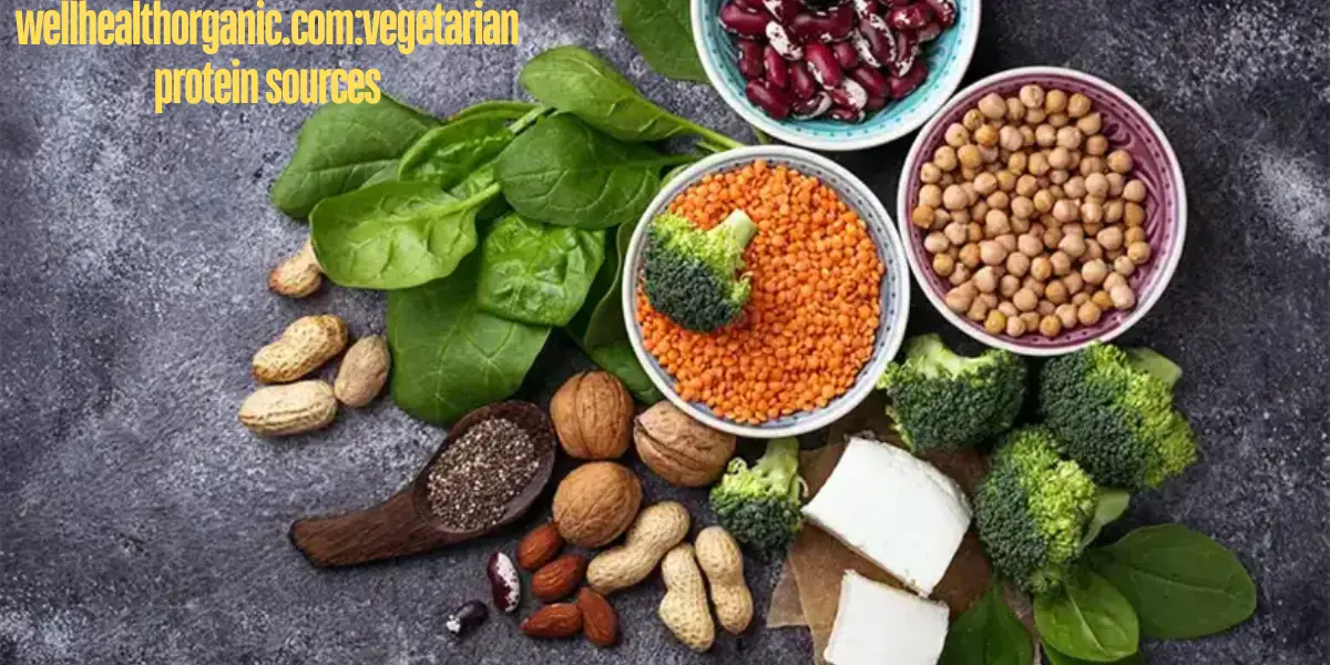 Wellhealthorganic.com:vegetarian protein sources