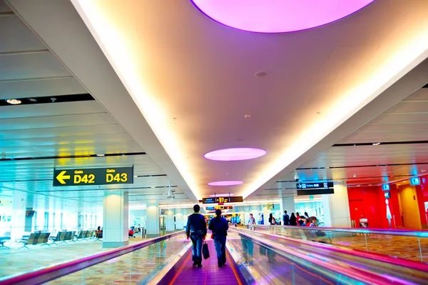 Discover Top Attractions and Hidden Gems at Changi Airport Singapore: A Comprehensive Guide